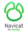 Navicat for MySQL Standard Navicat for MySQL Standard