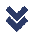 Malwarebytes ThreatDown Advanced